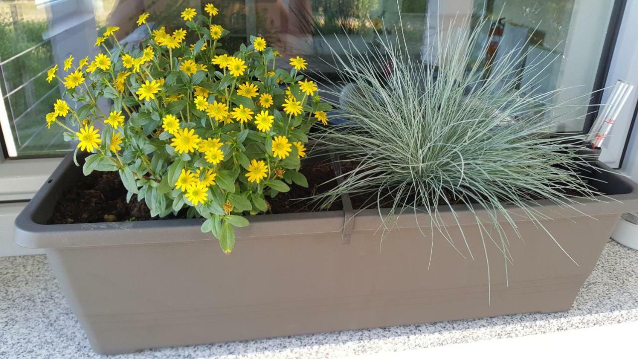 Na Off Radenci Exterior foto